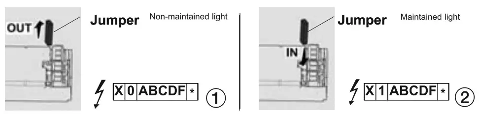 THORN Voyager E1D Self Contained Luminaires - Figure 2