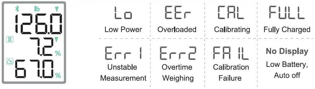 GE-Fit-Plus-Smart-Scale-FIG-7