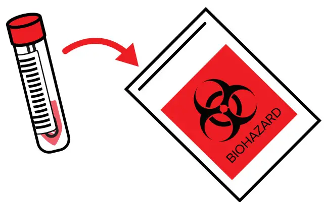 TRUENORTH PMLS SARS CoV 2 Assay Self Collection Kit-absorbent pad