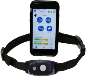 a close up of a cell phone