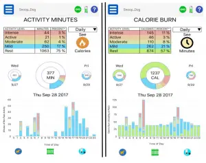 graphical user interface, application