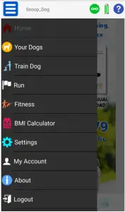 graphical user interface, application