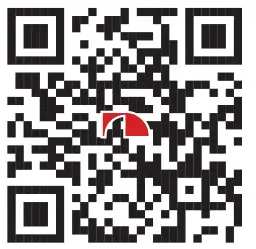 Nakamichi NBT-806A 8 Inch Active Tunnel Tube- Qr