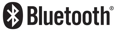 Bluetooth Logo