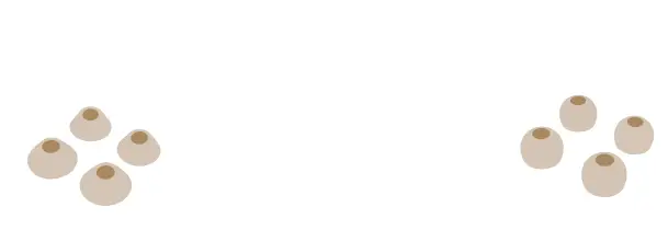 cleer GS-1349- Roam- NC -Noise-Canceling -True- Wireless -In-Ear -Headphones -10