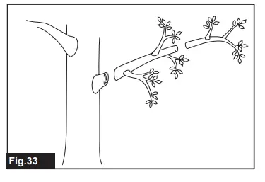makita-UA002G-Cordless-Telescopic-Pole-Saw-33