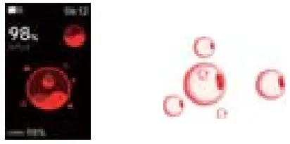 Blood Oxygen Display