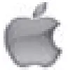 Apple Icon