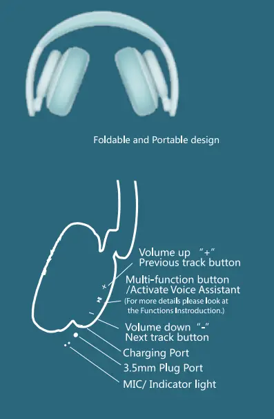 Buttons and Indicators