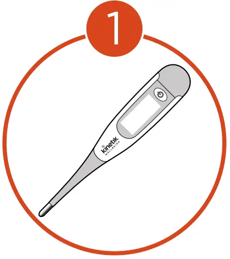 Assembly Instruction