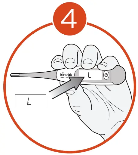 Assembly Instruction