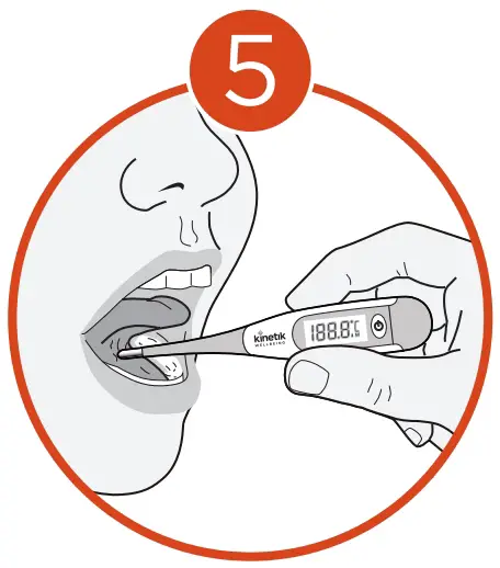 Assembly Instruction