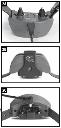 SportDOG-Brand-425X-Remote-Trainers6