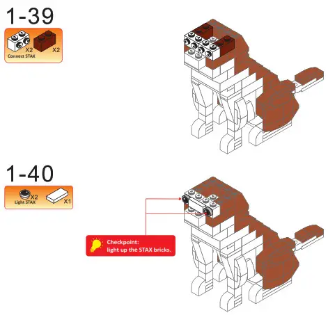 STAX Hybrid Dog Instructions -22