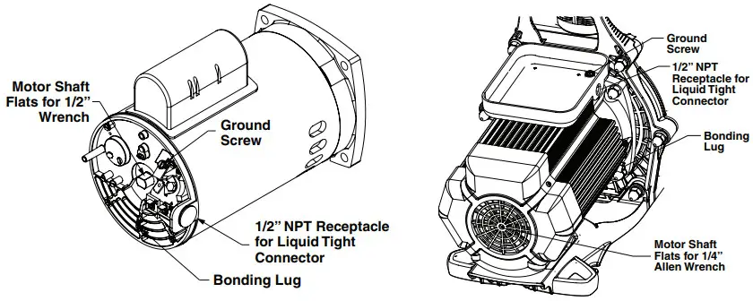 PENTAIR 185506 SuperMax High Performance Pool Pump - Figure 3