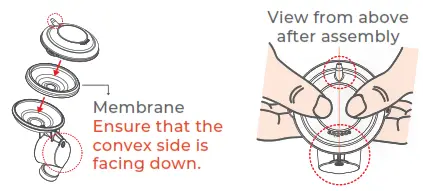 speCtra CaraCups Breast Pump - CaraCups assembly instructions 2