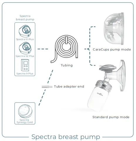 speCtra CaraCups Breast Pump - How to connect CaraCups to breast pump