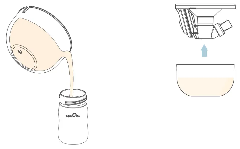 speCtra CaraCups Breast Pump - How to transfer breastmilk