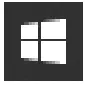 Windows 10 icon