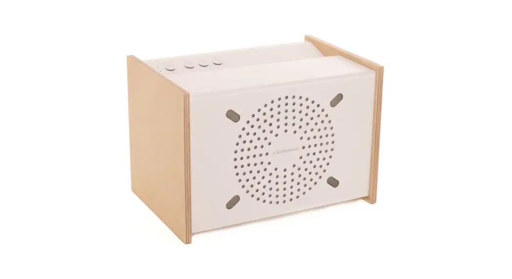 A Bsolument Prodige Speaker Instructions