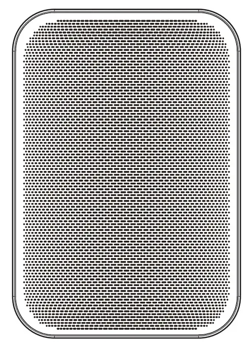 BLUESOUND Network Streaming Speaker-