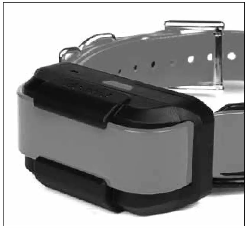 dogtra Gps-Only System- 07