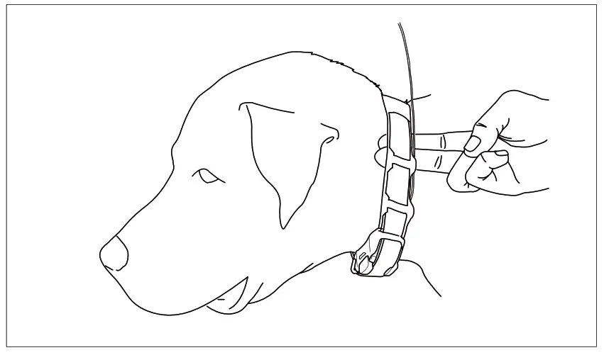 dogtra Gps-Only System- 13