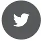 Tiwtter Icon
