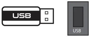 DS18 ZL-X15BT 2-WAYLOUD SPEAKER - USB connector.