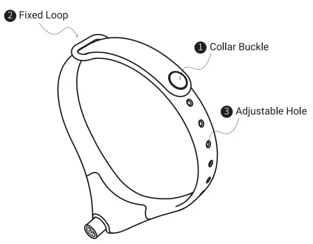 Cheerble C1121 Wearable Smart Laser Cat Toy