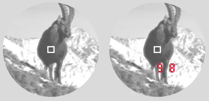 Leica GEOVID R 15x56 Rangefinder Binocular - DISTANCE MEASUREMENT