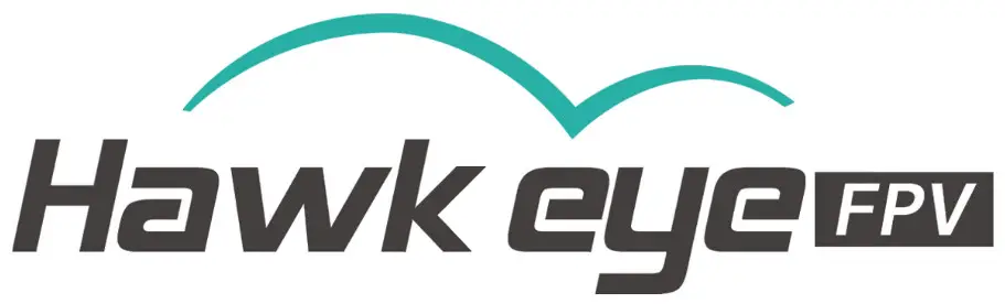 Hawk eye logo