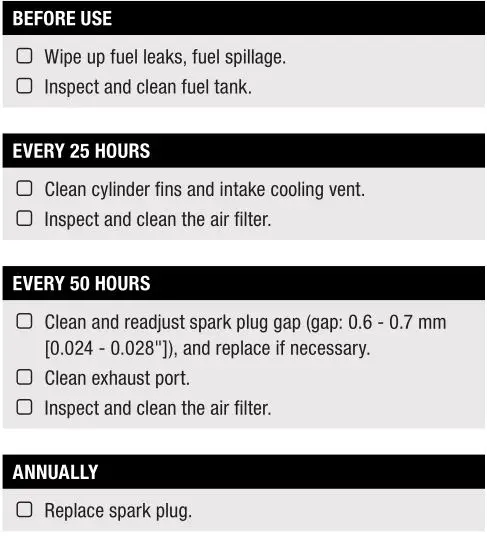 CHAMPION 100734 Leaf Blower - Maintenance Schedule