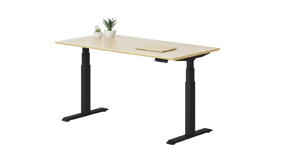 Ofinto Ta-ele-01 Electrically Height Adjustable Office Desk User Manual