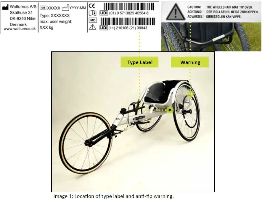 WOLTURNUS-Amasis-and-Skiing-Racing-Chair-fig-1
