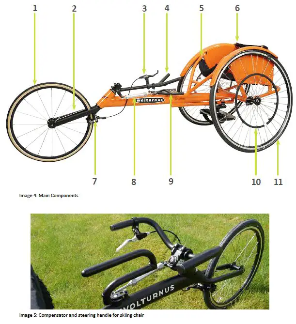 WOLTURNUS-Amasis-and-Skiing-Racing-Chair-fig-4