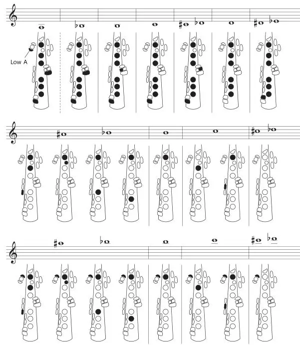 Yamaha YDS-150 Digital Saxophone - Fingering Chart 1