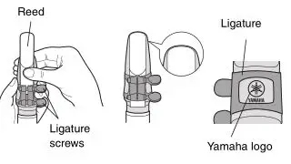 Yamaha YDS-150 Digital Saxophone - Position the reed