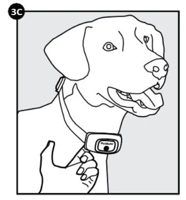 PetSafe PBC19-16370 Spray Bark Collar 3c