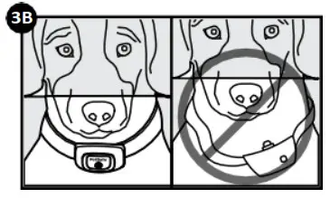 PetSafe PBC19-16370 Spray Bark Collar In the Box3b