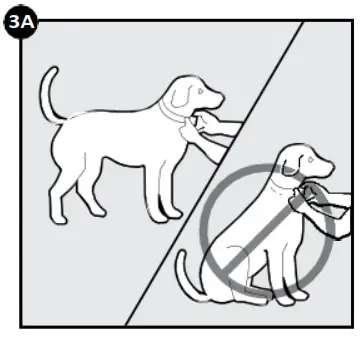 PetSafe PBC19-16370 Spray Bark Collar In the Box3c