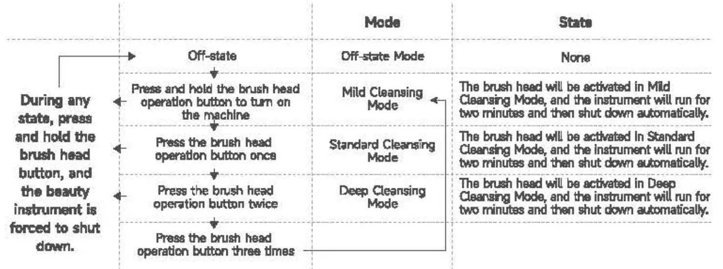 arpha X1 PLUS EMS Titanium Ion Beauty Instrument - fig 2
