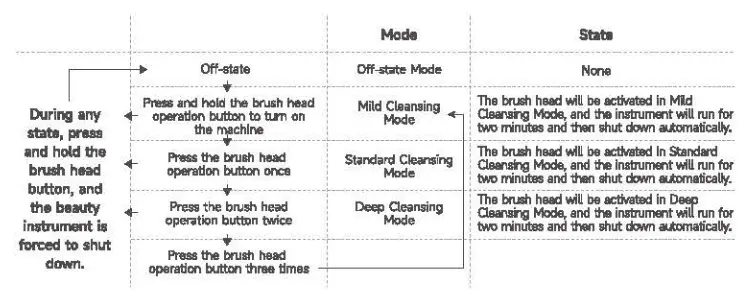 arpha X1 PLUS EMS Titanium Ion Beauty Instrument - fig 3