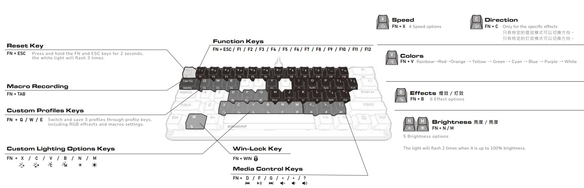 PURI MINI Mechanical Gaming Keyboard Overview