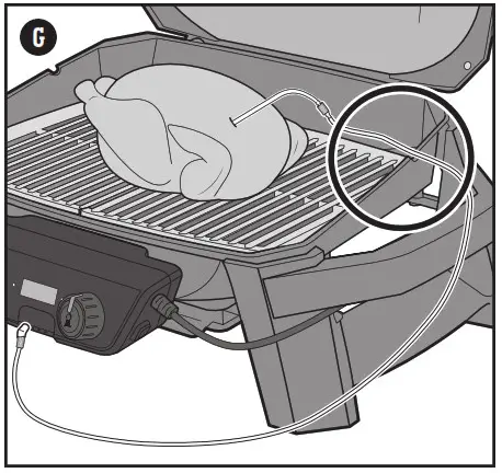 weber PULSE 2000 with Cart - Grilling with Food Probes 1