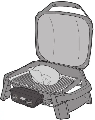 weber PULSE 2000 with Cart - Roasting Setup