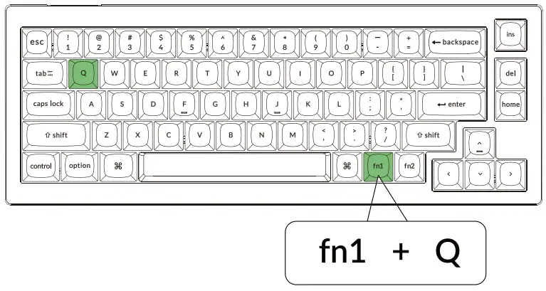 Backlight Instructions