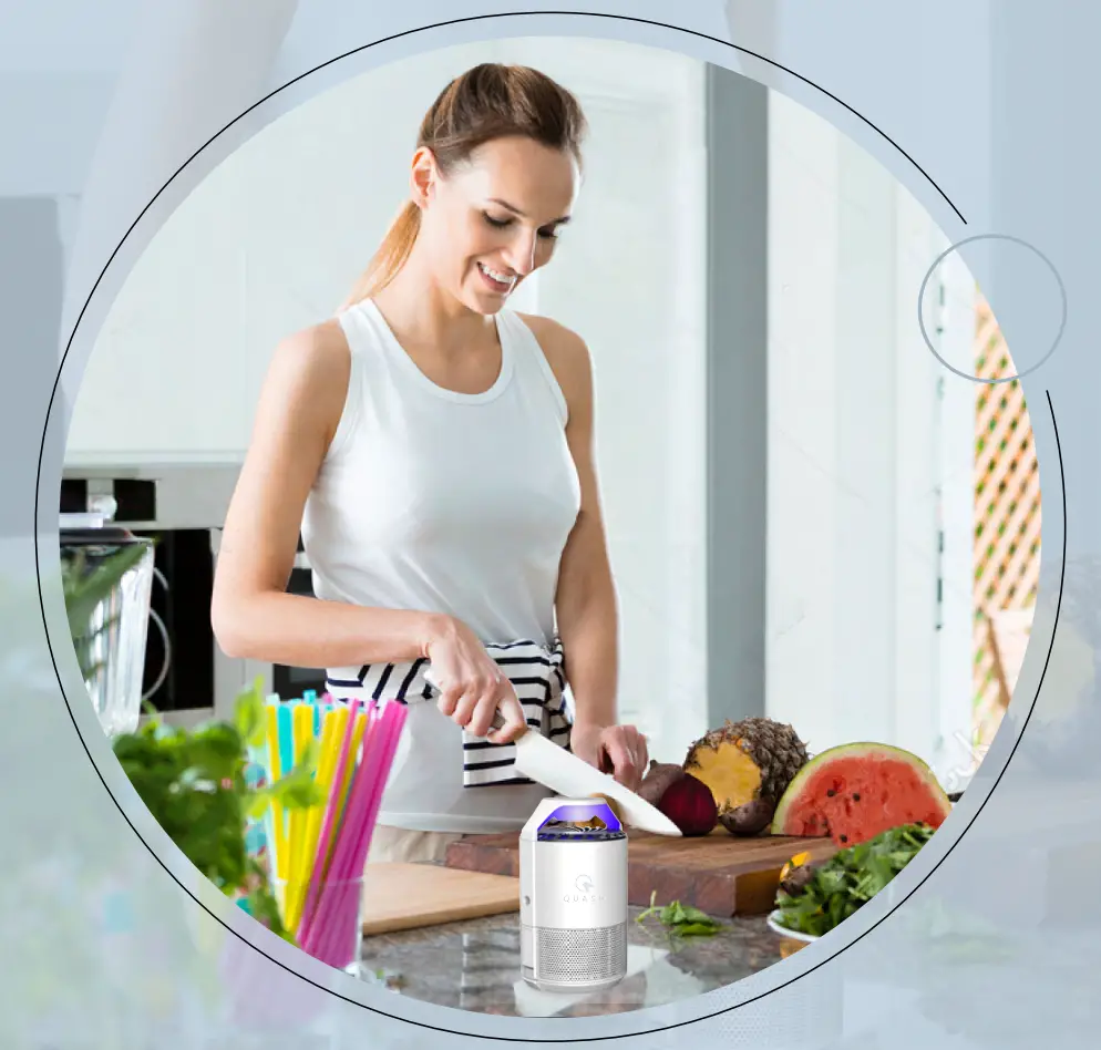 QUASH Snow Indoor Insect Trap