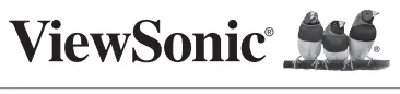 ViewSonic Logo