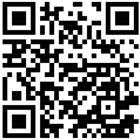 BLAUPUNKT EMA 265 Power Amplifier - Designed